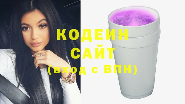 гашик Алзамай