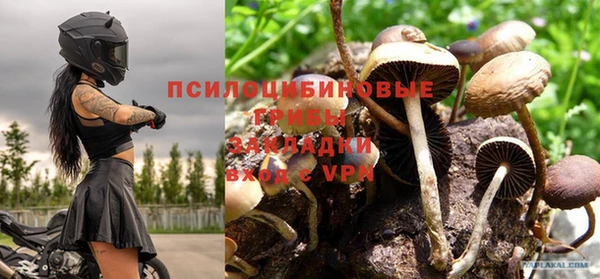каннабис Алексин