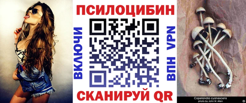 где продают Уяр Псилоцибиновые грибы мицелий